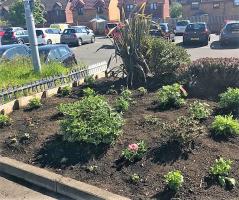 Garden makeover by members of Prestwick Rotary